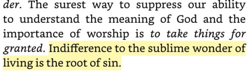 iehudit:abraham joshua heschel, god in search of man, 1955