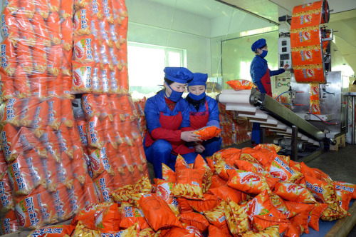 Automated production line for shrimp crackers at the Kumkop...