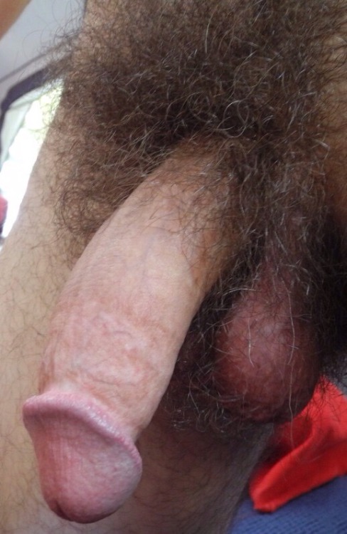 Gay & Hairy