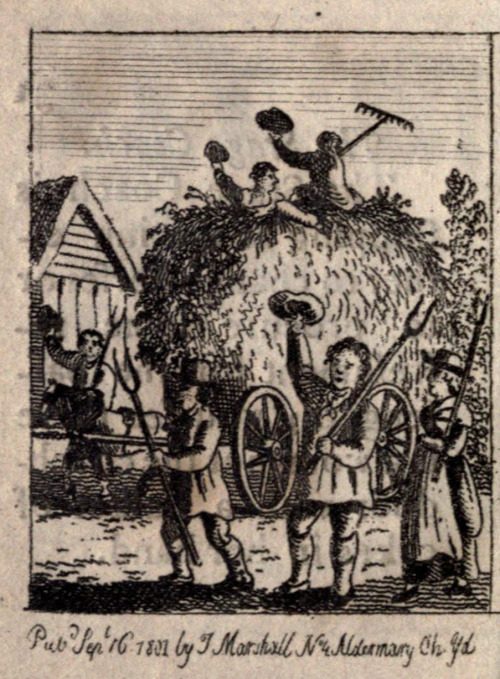 children& 039;s books 19th Century Illustration country life farming