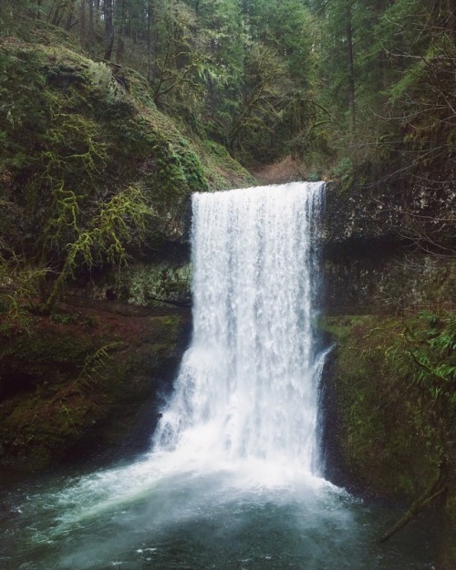 justapplyyourself:Silver Falls State Park. Silverton, Oregon...