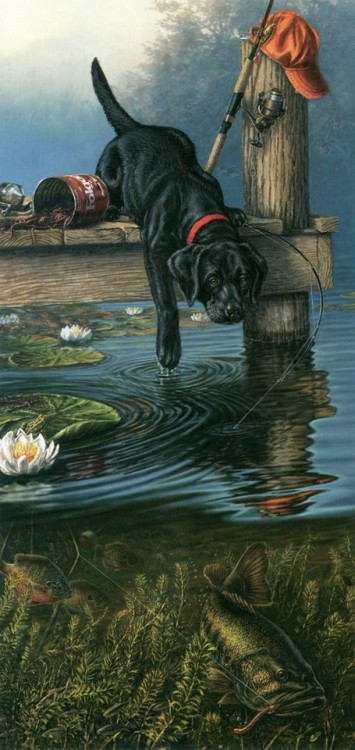 fishingmypassion:DOG CATCH FISH