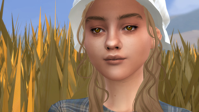 sims 4 where to put reshade presets