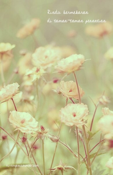 440+ Gambar Bunga Layu Keren Gratis Terbaru