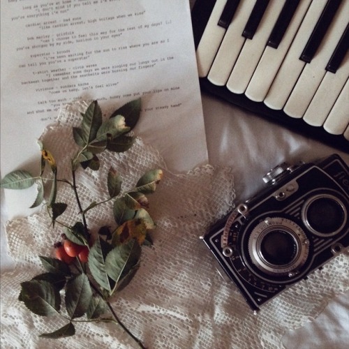 paulinadequate:today’s finds: an accordion, a typewriter, and...