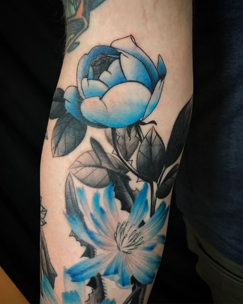 ink-pedia:Josh Stephens