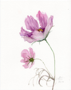Flower Watercolor Tumblr