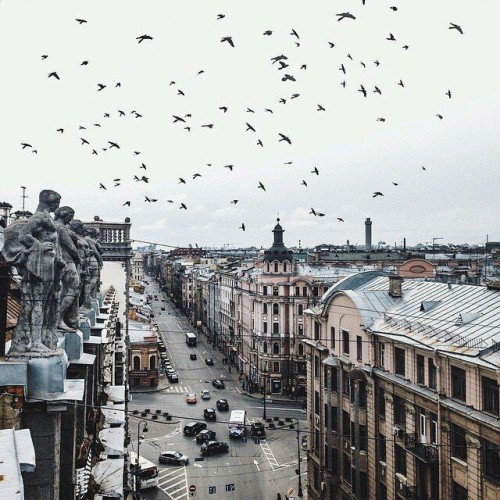 studyblr studyspo study mood study motivation study inspiration motivation inspiration work motivation study work hard mood city stpetersburg architecture student struggles student life school college university
