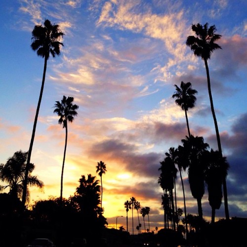 california love on Tumblr