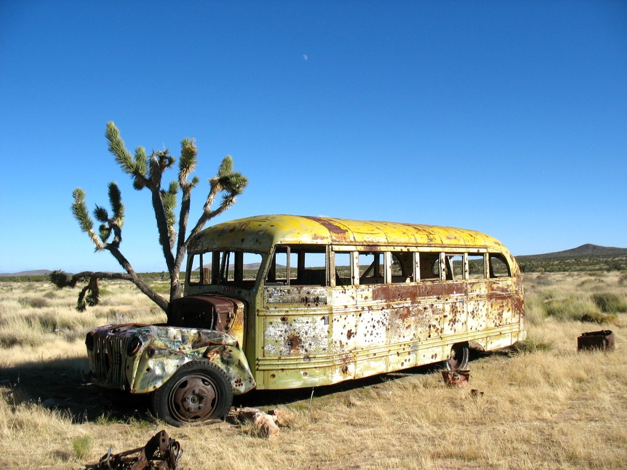 Old bus near a Joshua tree. Mojave Desert,... - Destroyed and Abandoned