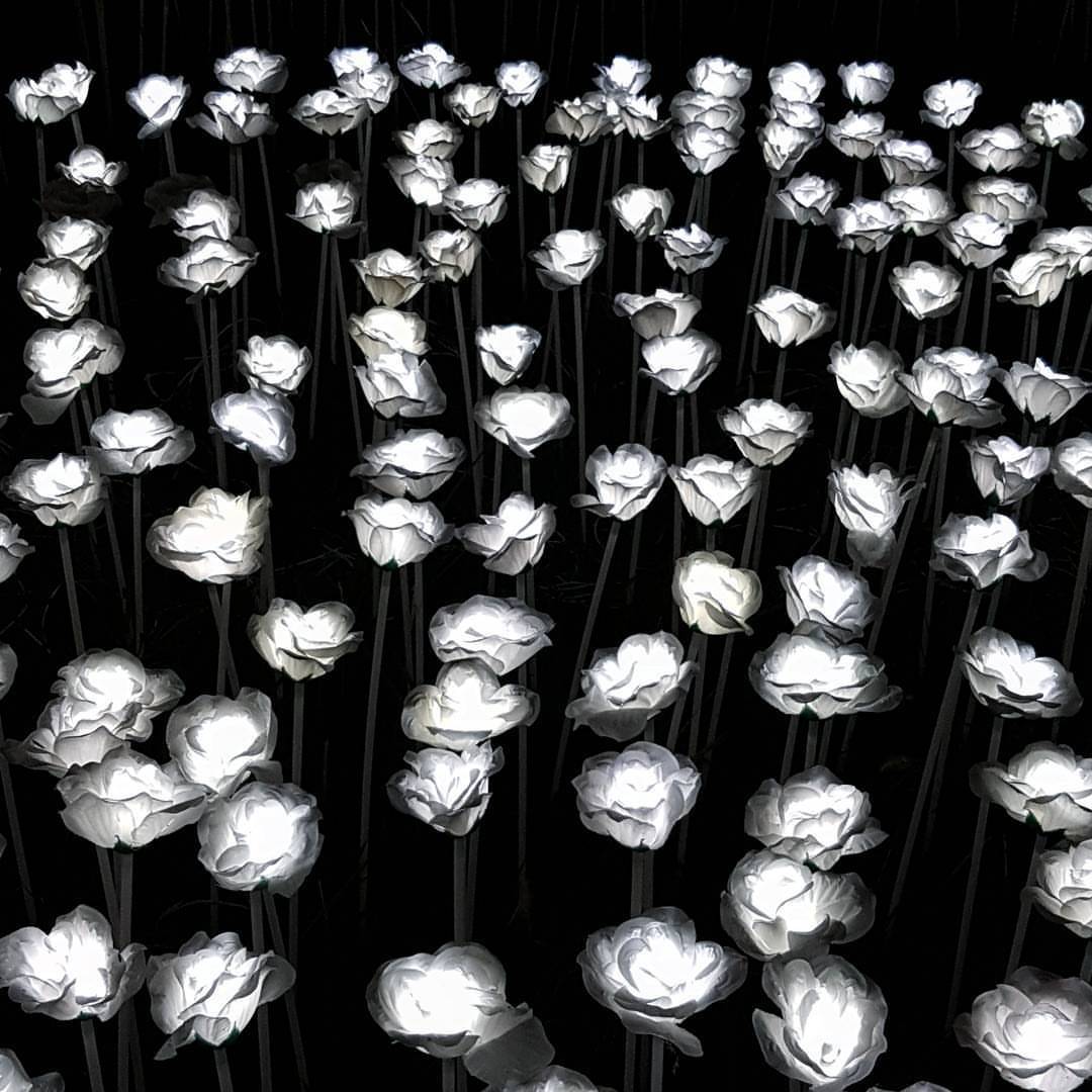200+ Gambar 2 Dimensi Hitam Putih Terbaik 200+ Gambar 2 Dimensi Hitam Putih Terbaik