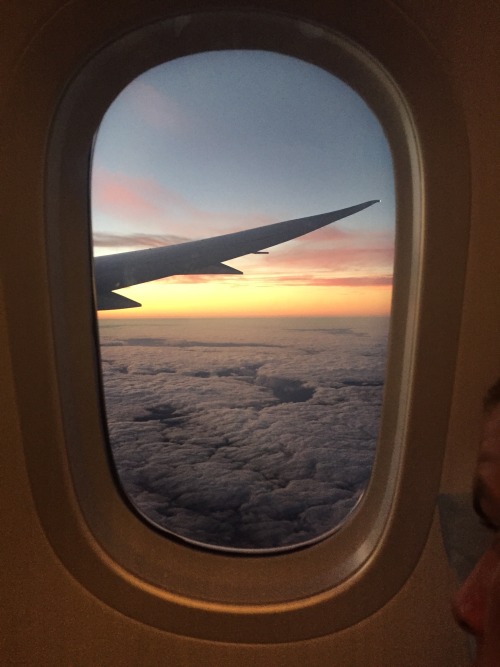 plane window on Tumblr