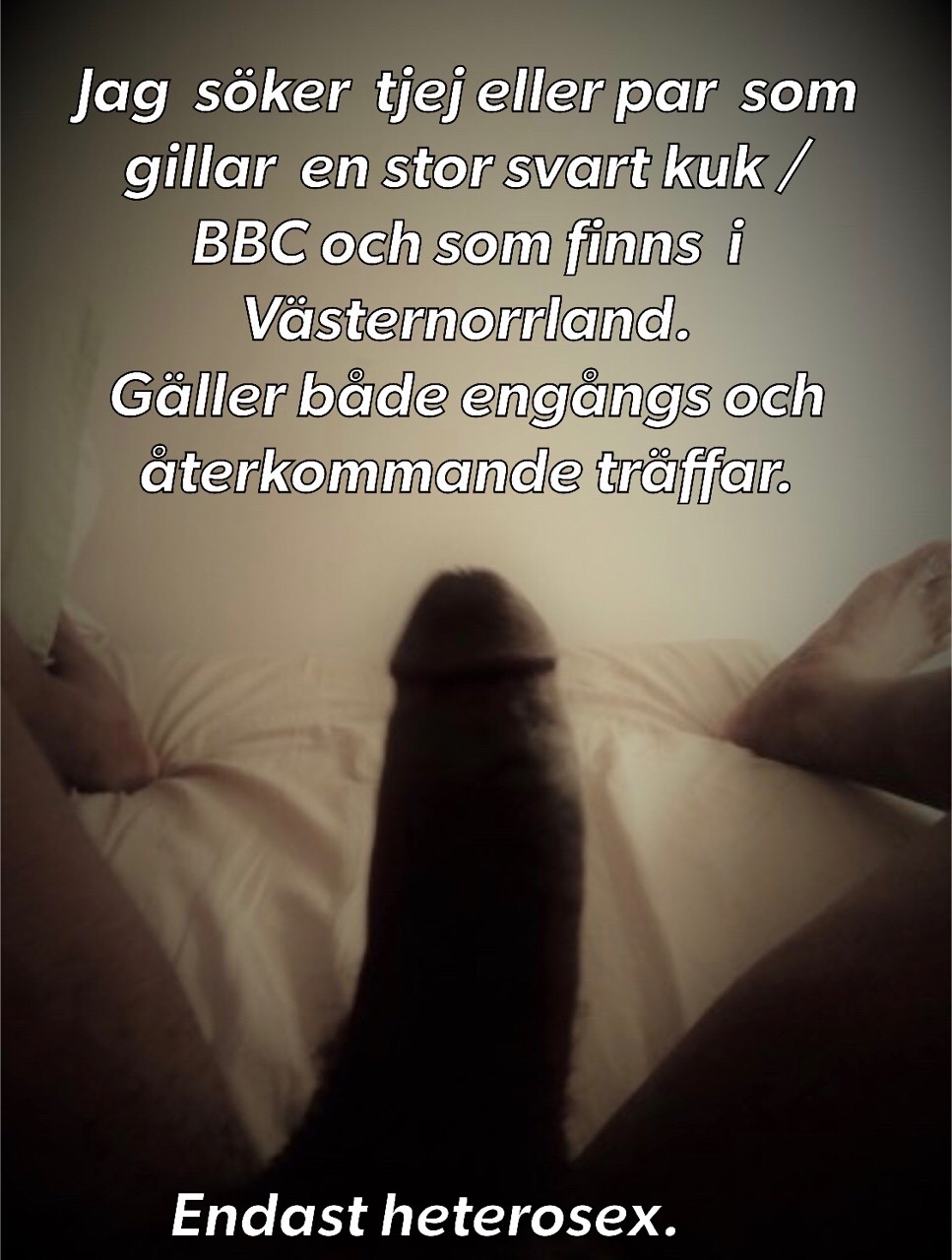 Singlar möten