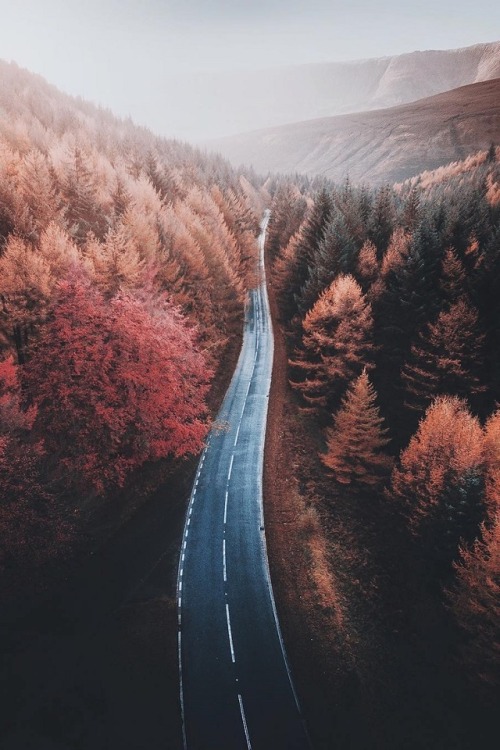 alecsgrg:Snake pass | ( by Chris )