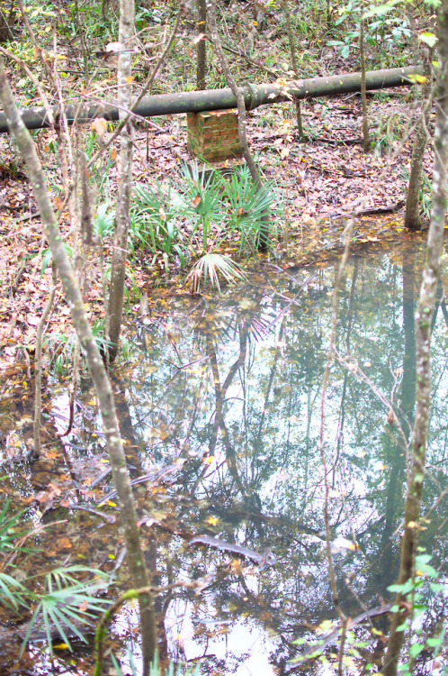 Wakulla Springs State Park