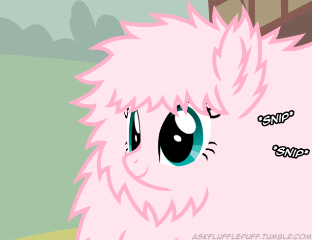 Ask Fluffle Puff