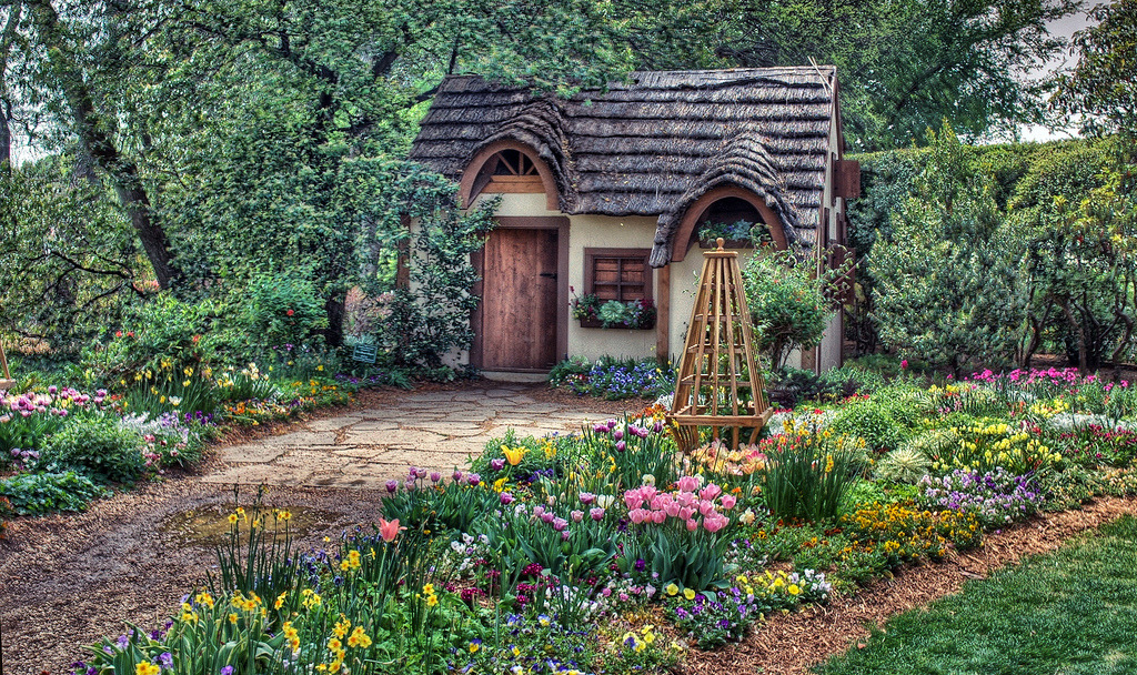 I'm Outside Looking In — locketofkisses: cute small house with a pretty...