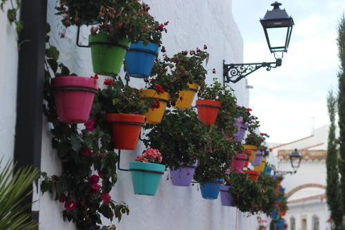 colourful pots.Malaga, 2017.