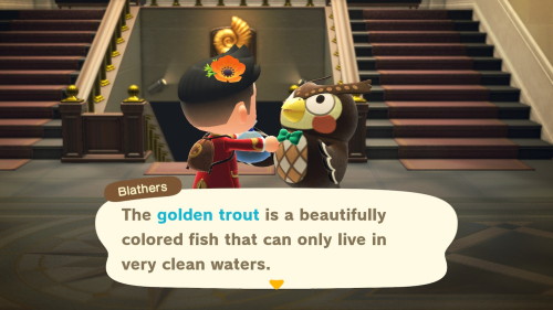 beanisle