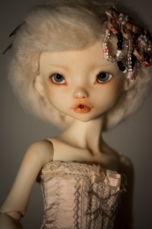 noble dolls bjd