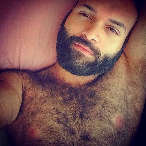 # hairy and horny et pour les BEARS et seux qui les aiment!