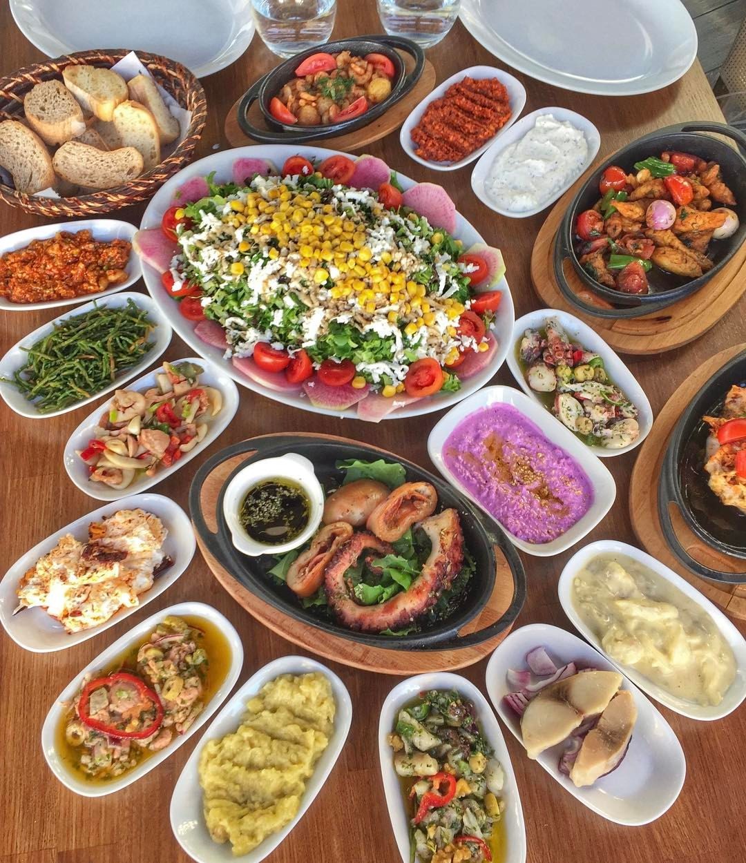 Traumel (merhem) ilacı. Kullanım Talimatları Traumel (merhem) ilacı. Kullanım Talimatları