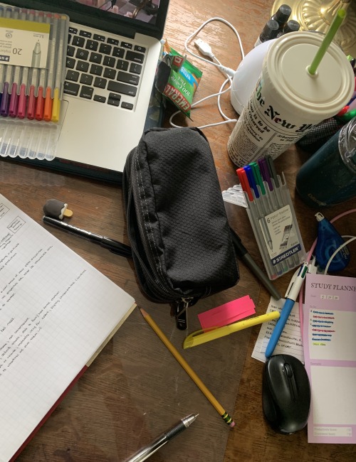 studywithlillian