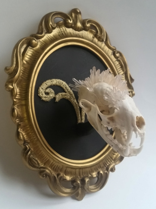 cummy–eyelids:Quartz crystal cluster explosion marten skull...