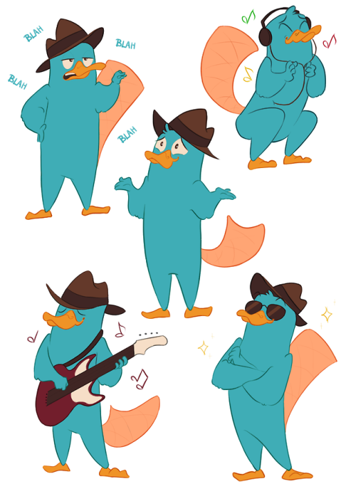 character: perry the platypus | Tumblr