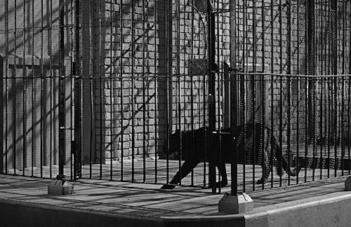 filmgifs