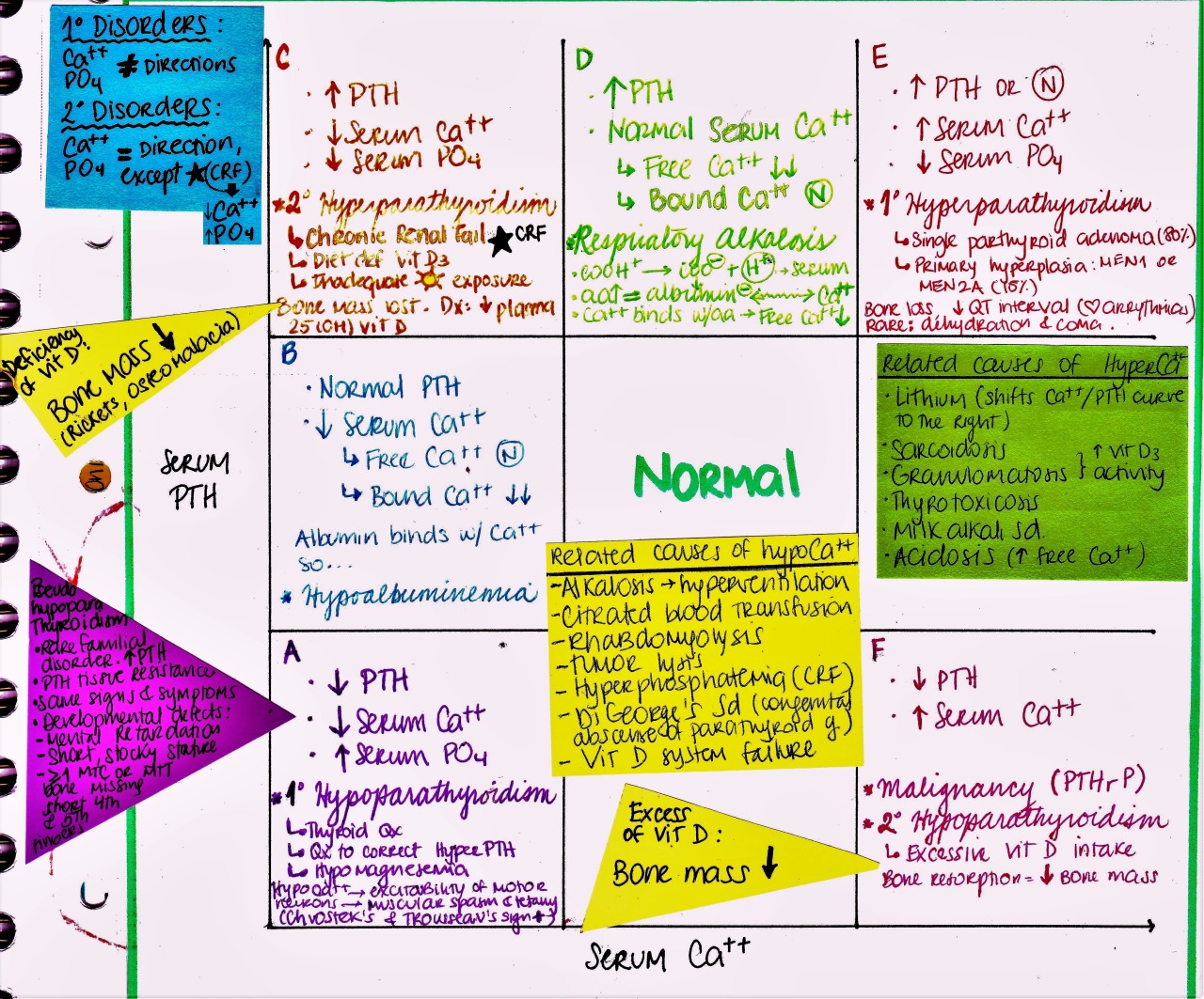 Calcium Level Chart