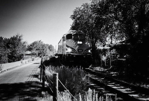 Rail Runner – © 2018 – Robert N. Clinton (aka...