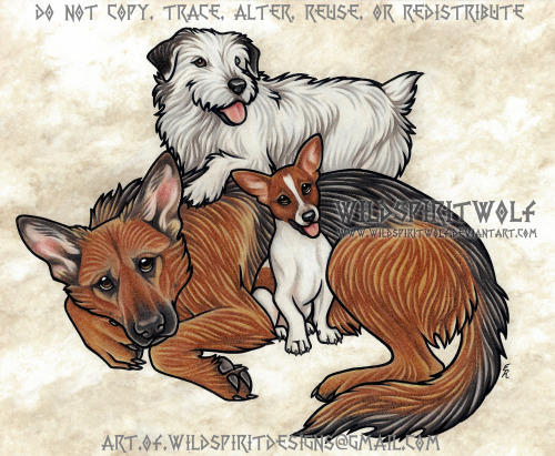 artofwildspiritdesigns