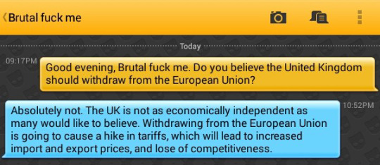 Me: Good evening, Brutal fuck me. Do you believe the United Kingdom should withdraw from the European Union?
Brutal fuck me: Absolutely not. The UK is not as economically independent as many would like to believe. Withdrawing from the European Union is going to cause a hike in tariffs, which will lead to increased import and export prices, and lose of competitiveness.