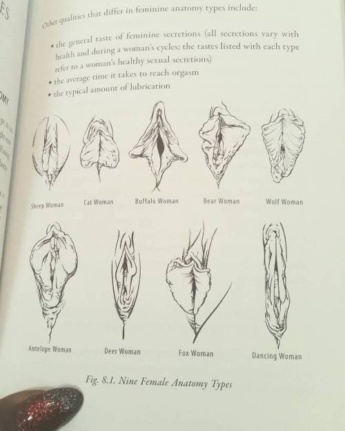 The Sexual Practices of Quodoushka: Teachings from the Nagual Tradition