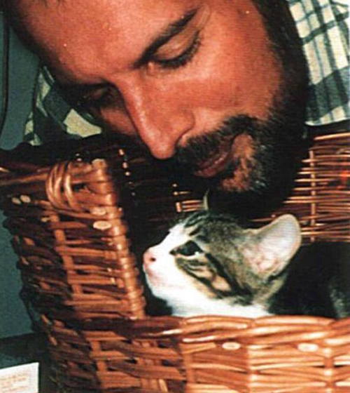 foxy-mulder:Freddie Mercury (Farrokh Bulsara) + cats...