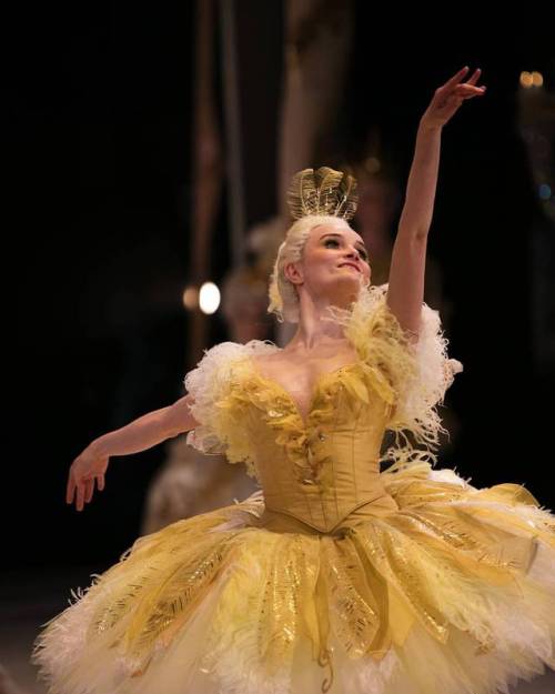 tutu-fangirl:Artists of The Australian Ballet in The Sleeping...