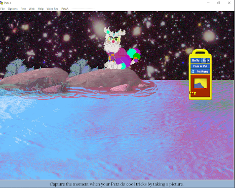 petz 5 playscenes