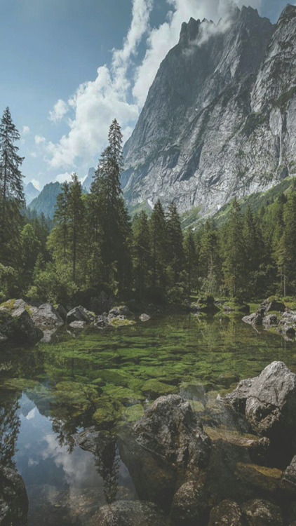 alockscreen:NATURE LOCKSCREENSlike or reblog if you save,...