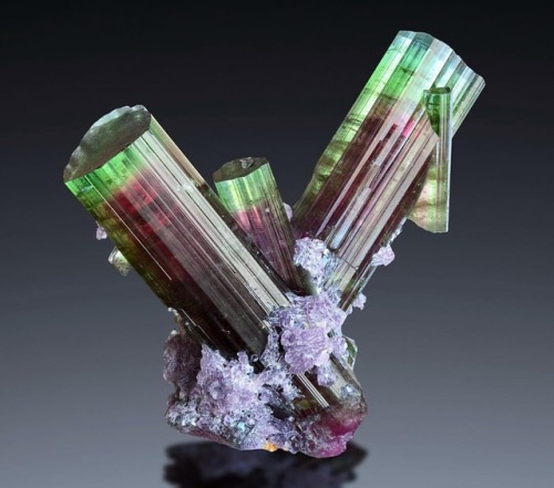 geologypage:Tourmaline | #Geology #GeologyPage...