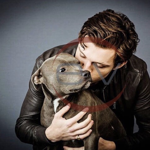 gaeliam:The Real Love Of A Superhero Is His Dog <3