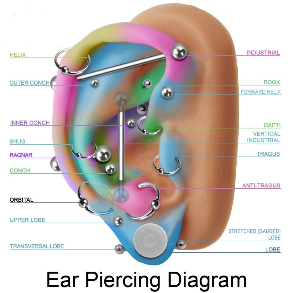 Diagram Ear Piercings Tumblr Simple Wiring Diagram