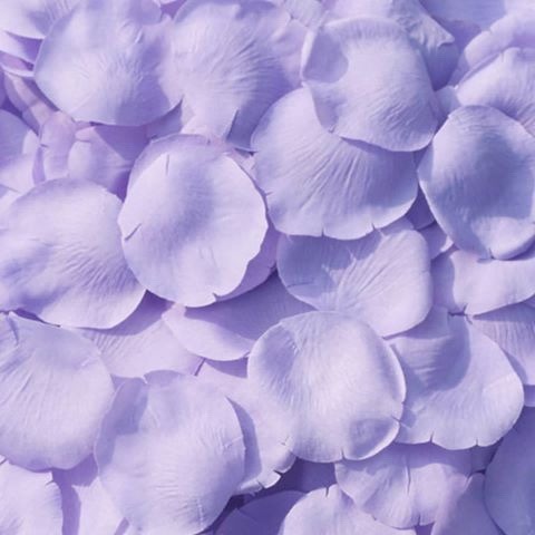 lilac  aesthetic  on Tumblr