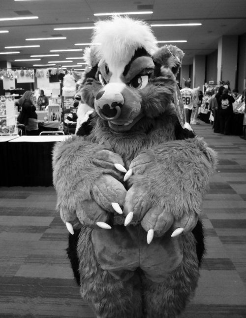rumpus fursuit rumpus fursuit