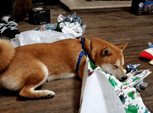 Kyuubi