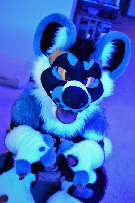 fursuitpursuits:RT @wildRansom: Feeling blue on...