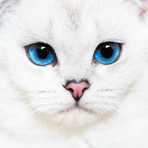 aww-so-pretty