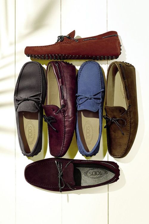 Tod’s loafer