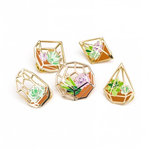 Moonlume terrarium plant plants pin pins