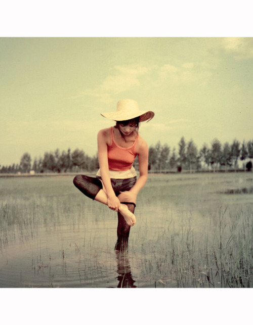 blueblackdream:Elsa Martinelli during the filming of La...